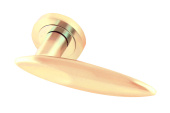 FKF Z51139